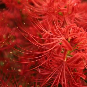 探索斯露德·异空的奇幻旅程：在平行世界中寻找自我与希望的意义