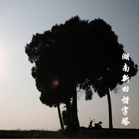 (季节物语是什么意思)深度探索:季节物语的涵义及其在文学和艺术中的独特表现方式 (季节物语是什么意思)深度探索:季节物语的涵义及其在文学和艺术中的独特表现方式
