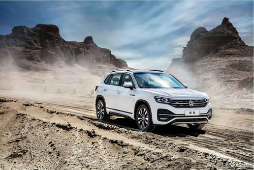 (生命终末期)探究末途之意：从生命终结到事业终结，共有多少种含义？