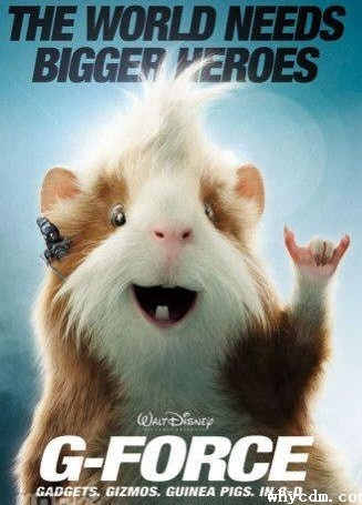 (《豚鼠特工队》在线观看)豚鼠特工队免费观看中文版：在线找寻你的冒险乐趣