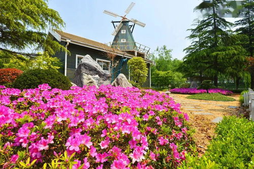 (花田小院官网)花田小院官方正版：探索田园生活的独特魅力与纯粹乐趣