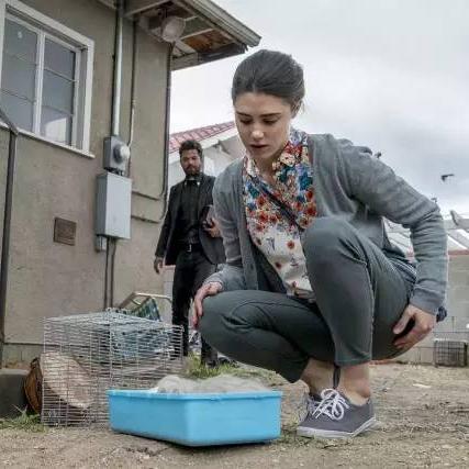 (神剧创世纪)创世记美剧第一季:探索神秘宇宙,揭开古老谜团 (神剧创世纪)创世记美剧第一季:探索神秘宇宙,揭开古老谜团