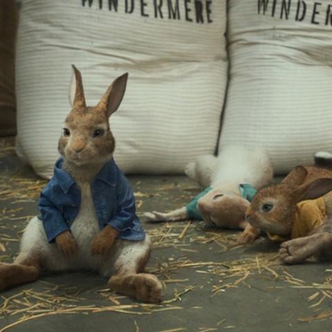 (比得兔全集中文版第一季)比得兔第一季全107集，陪你度过愉快的学习时光