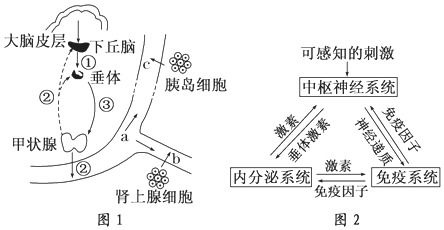 探究多重梦境的形成原因：心理、生理与环境因素的深层次关系分析