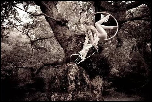 摄影师惊奇发现:在神秘森林中拍到真正的独角兽,证实神话传说中的神秘生物真实存在 摄影师惊奇发现:在神秘森林中拍到真正的独角兽,证实神话传说中的神秘生物真实存在