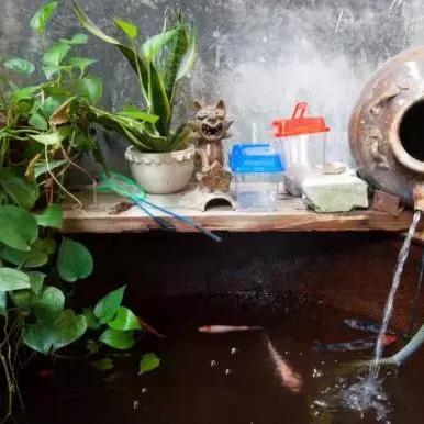 (美食 广州)探寻广州美食客栈H5：品味本地美食文化