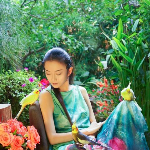 (神奇的探险之旅之原始森林探险)探险宝贝原生丛林：与神秘鸟儿展开大冒险