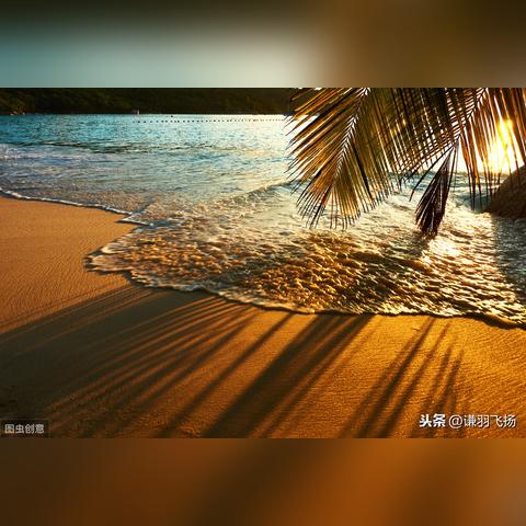 探讨Steam平台热门游戏《木筏求生》：存活策略并综述玩家社区对其评价和反馈