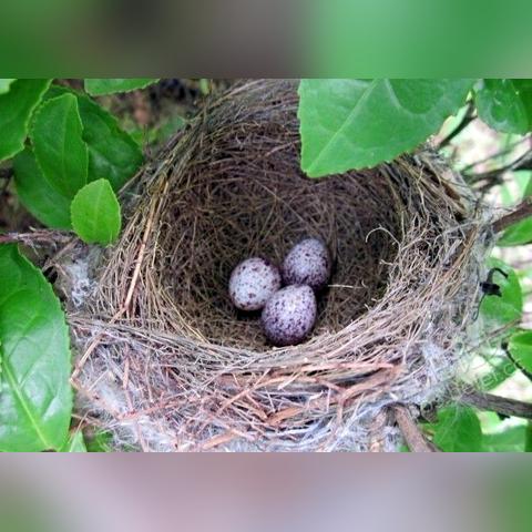 (一元手游百度百科)一元手游2.0：低价娱乐时代再度来袭，体验超值游戏乐趣