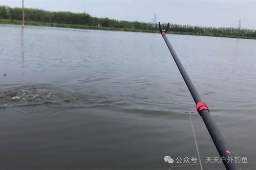 (狂浪的狂怎么写)狂漂怎么写？掌握技巧让你轻松驾驭湍急河流