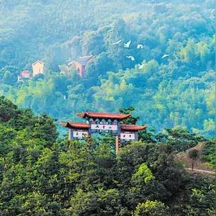 (金井茶叶老板)金井镇金牌合伙人:打造信誉满满的商业合作伙伴关系 (金井茶叶老板)金井镇金牌合伙人:打造信誉满满的商业合作伙伴关系