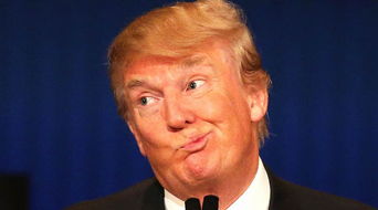 (特朗普的财团是干什么的)特朗普财长人选深陷混乱之中,局势前所未有的复杂和动荡 (特朗普的财团是干什么的)特朗普财长人选深陷混乱之中,局势前所未有的复杂和动荡