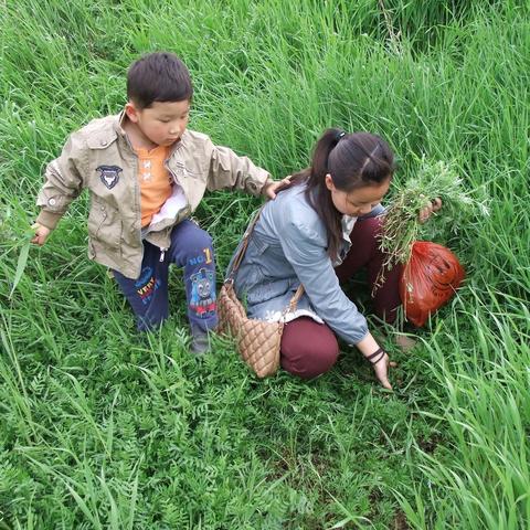 (放学我等你哦小说)等我放学，时光等待，TXT全文免费阅读