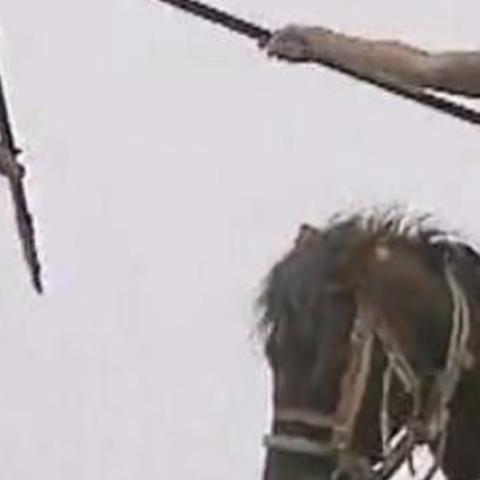 (无畏三国开服时间)无畏三国手游：带你体验赤壁之战的激情与智谋，重温英雄传奇