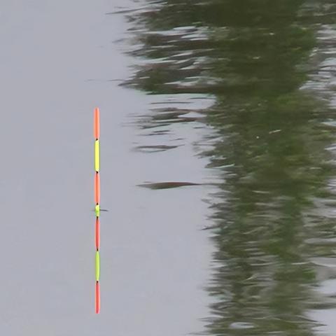 (免费下载钓鱼看漂应用,轻松掌握钓鱼技巧的软件)免费下载钓鱼看漂应用，轻松掌握钓鱼技巧