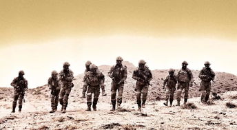 折射现实世界混乱:以战火与秩序站位为主题的战争文化与社会秩序关系研究 折射现实世界混乱:以战火与秩序站位为主题的战争文化与社会秩序关系研究