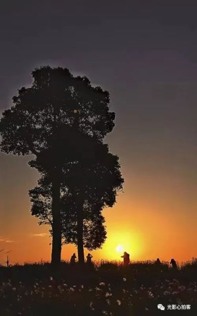 (光辉拍摄)探寻光晖之美:神奇光线照亮人生,摄影家捕捉时光永恒之美 (光辉拍摄)探寻光晖之美:神奇光线照亮人生,摄影家捕捉时光永恒之美