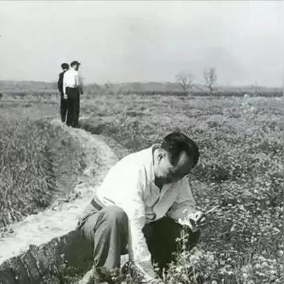 (王国的建立百度百科)王国的崛起:从平凡小镇到辉煌帝国的传奇故事与启示 (王国的建立百度百科)王国的崛起:从平凡小镇到辉煌帝国的传奇故事与启示