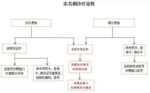 详述十三号病院攻略:从预约挂号到实地就诊,全方位解析医疗流程和注意事项 详述十三号病院攻略:从预约挂号到实地就诊,全方位解析医疗流程和注意事项