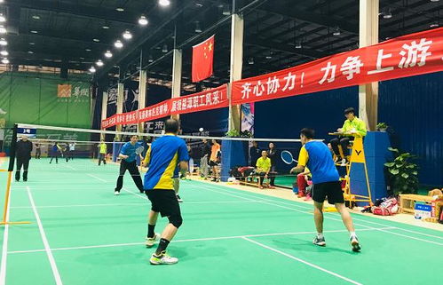 (长沙球馆)长沙举办三大球运动会发布会，吸引全球目光并引发热议