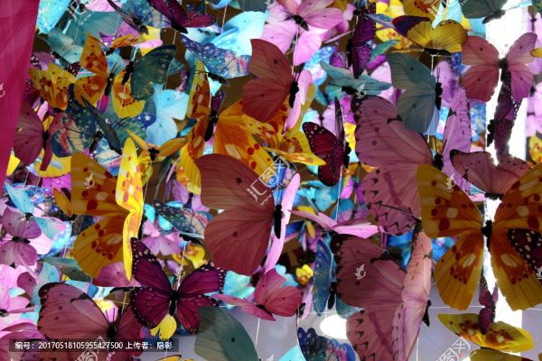 (星罗棋布的解释)星罗棋布间的生命之舞:斑斓斑斓的蝴蝶群 (星罗棋布的解释)星罗棋布间的生命之舞:斑斓斑斓的蝴蝶群