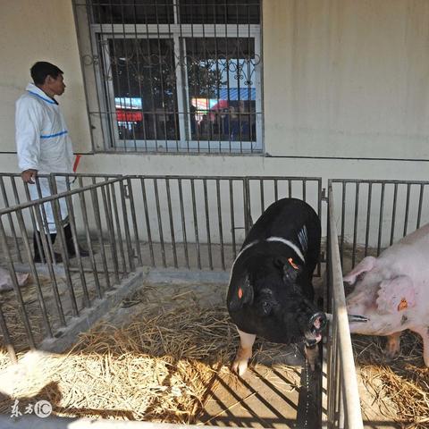 (应用怎么赚钱)探索最赚钱的手机应用程序：如何利用应用程序赚取额外收入