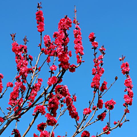 (热血燃舞蹈视频教学)燃情热血,律动歌舞——热血燃烧的动感歌曲推荐 (热血燃舞蹈视频教学)燃情热血,律动歌舞——热血燃烧的动感歌曲推荐