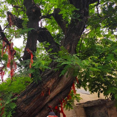 (少年封神(天天送充值))少年封神：寻找神秘传说的传奇之旅