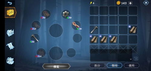 冰原守卫者攻略：全面解析游戏攻略、技巧与最佳策略，助你轻松畅玩！