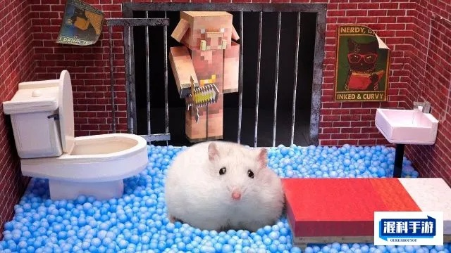 (我要看小仓鼠恐怖迷宫)小仓鼠勇闯恐怖医院迷宫：追寻真相的惊险之旅