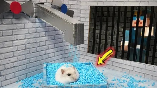 (我要看小仓鼠恐怖迷宫)小仓鼠勇闯恐怖医院迷宫:追寻真相的惊险之旅 (我要看小仓鼠恐怖迷宫)小仓鼠勇闯恐怖医院迷宫:追寻真相的惊险之旅