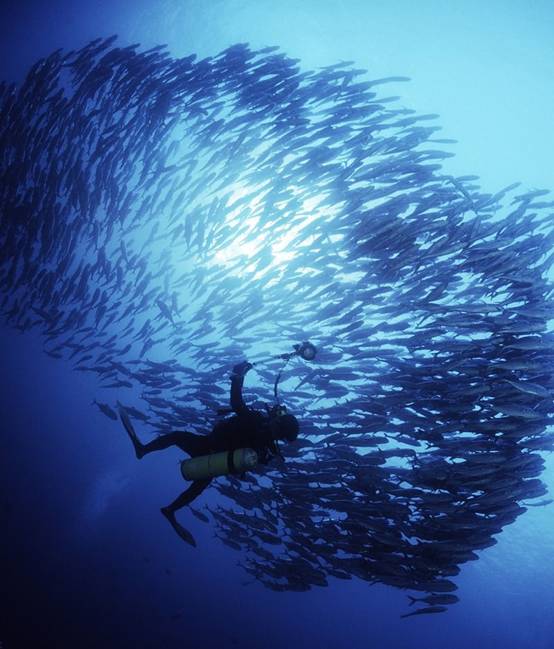 (下潜下潜)下潜是谁:探寻深海奥秘的潜水员们勇往直前,谁是勇者? (下潜下潜)下潜是谁:探寻深海奥秘的潜水员们勇往直前,谁是勇者?